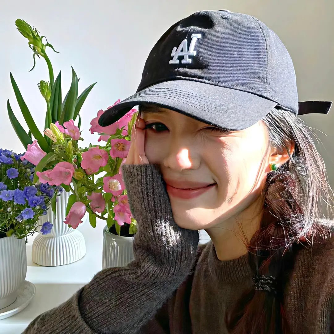 丹美的电影宇宙
